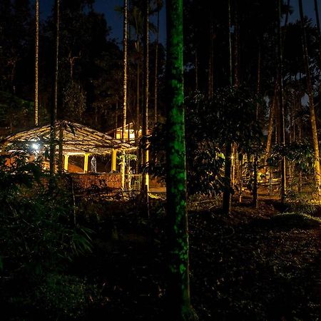 Wooden Cottages Glen Wayanad Meppadi Екстер'єр фото
