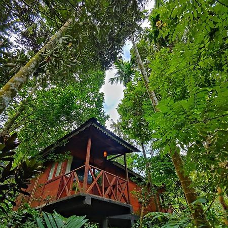 Wooden Cottages Glen Wayanad Meppadi Екстер'єр фото