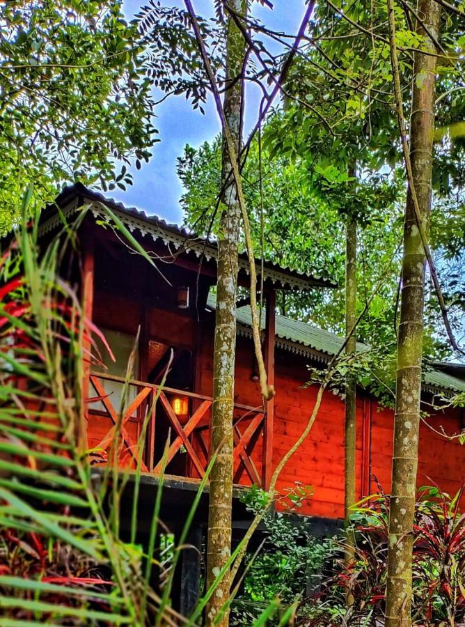 Wooden Cottages Glen Wayanad Meppadi Екстер'єр фото