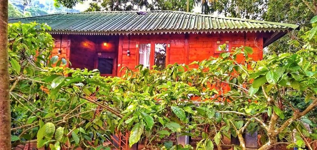 Wooden Cottages Glen Wayanad Meppadi Екстер'єр фото