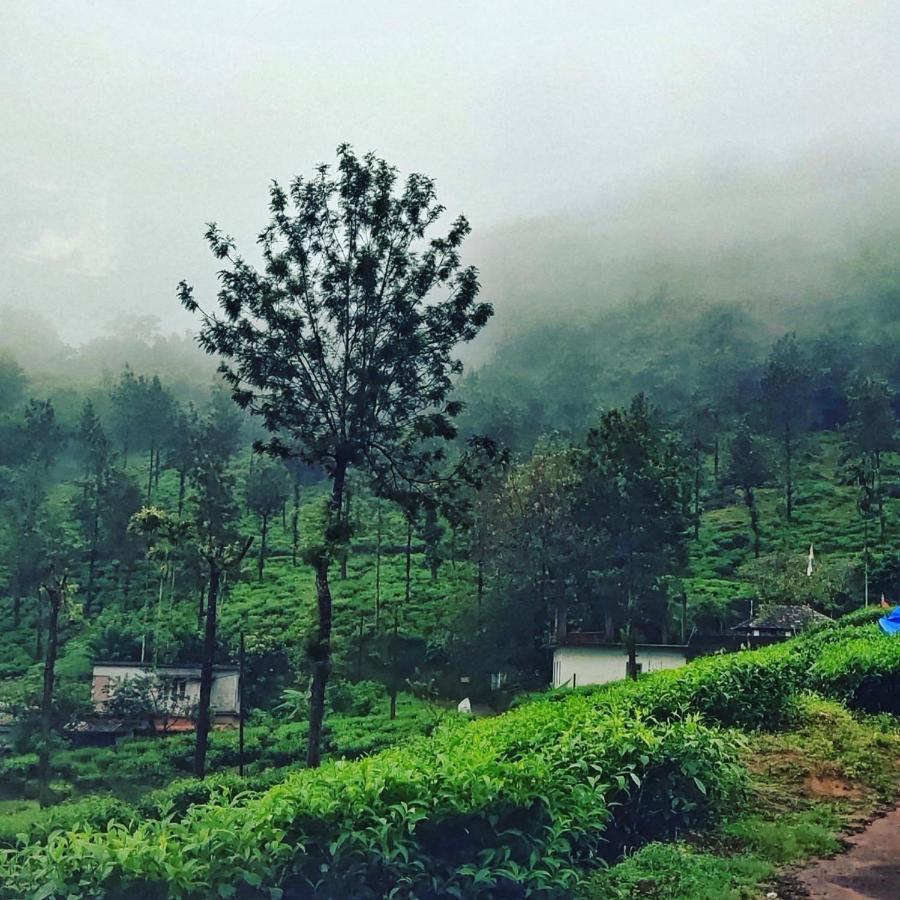 Wooden Cottages Glen Wayanad Meppadi Екстер'єр фото