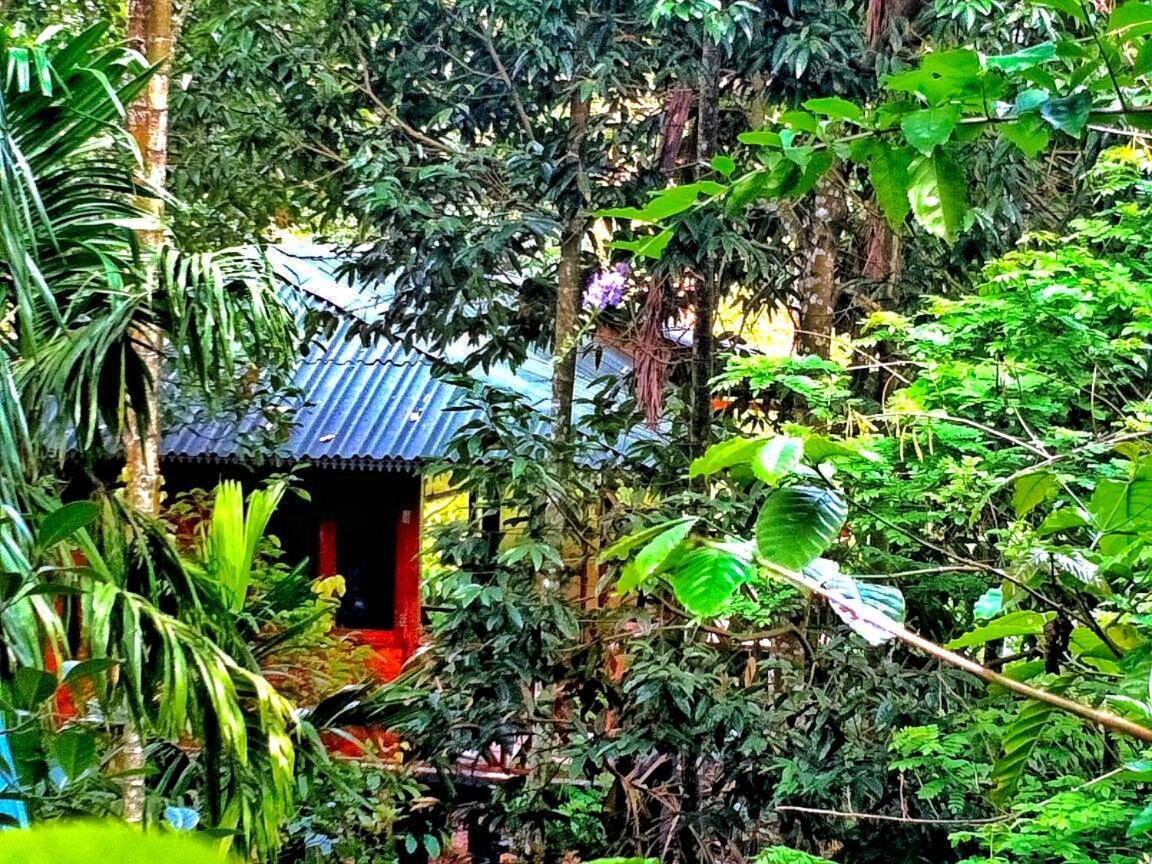 Wooden Cottages Glen Wayanad Meppadi Екстер'єр фото