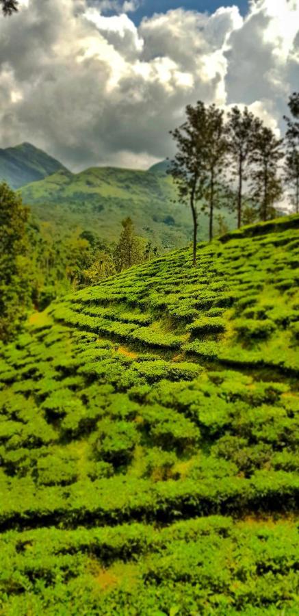 Wooden Cottages Glen Wayanad Meppadi Екстер'єр фото