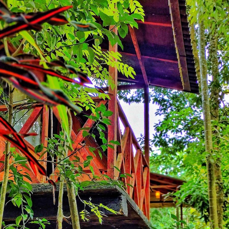 Wooden Cottages Glen Wayanad Meppadi Екстер'єр фото
