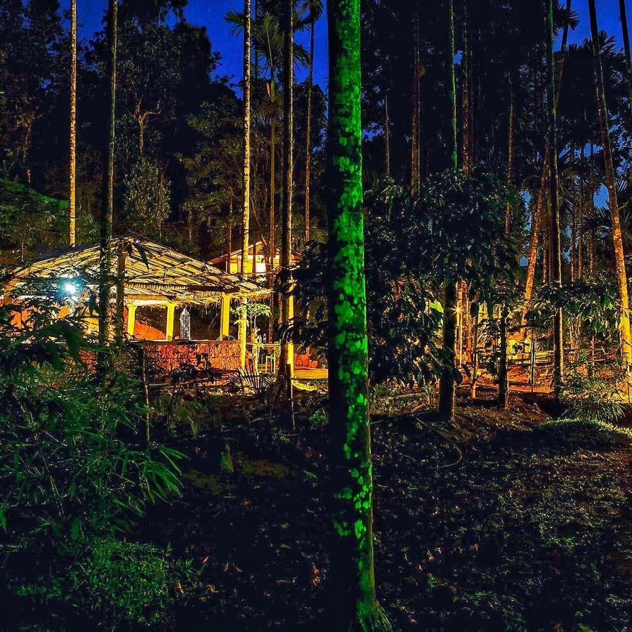 Wooden Cottages Glen Wayanad Meppadi Екстер'єр фото