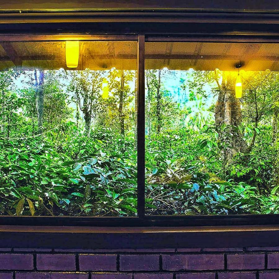 Wooden Cottages Glen Wayanad Meppadi Екстер'єр фото