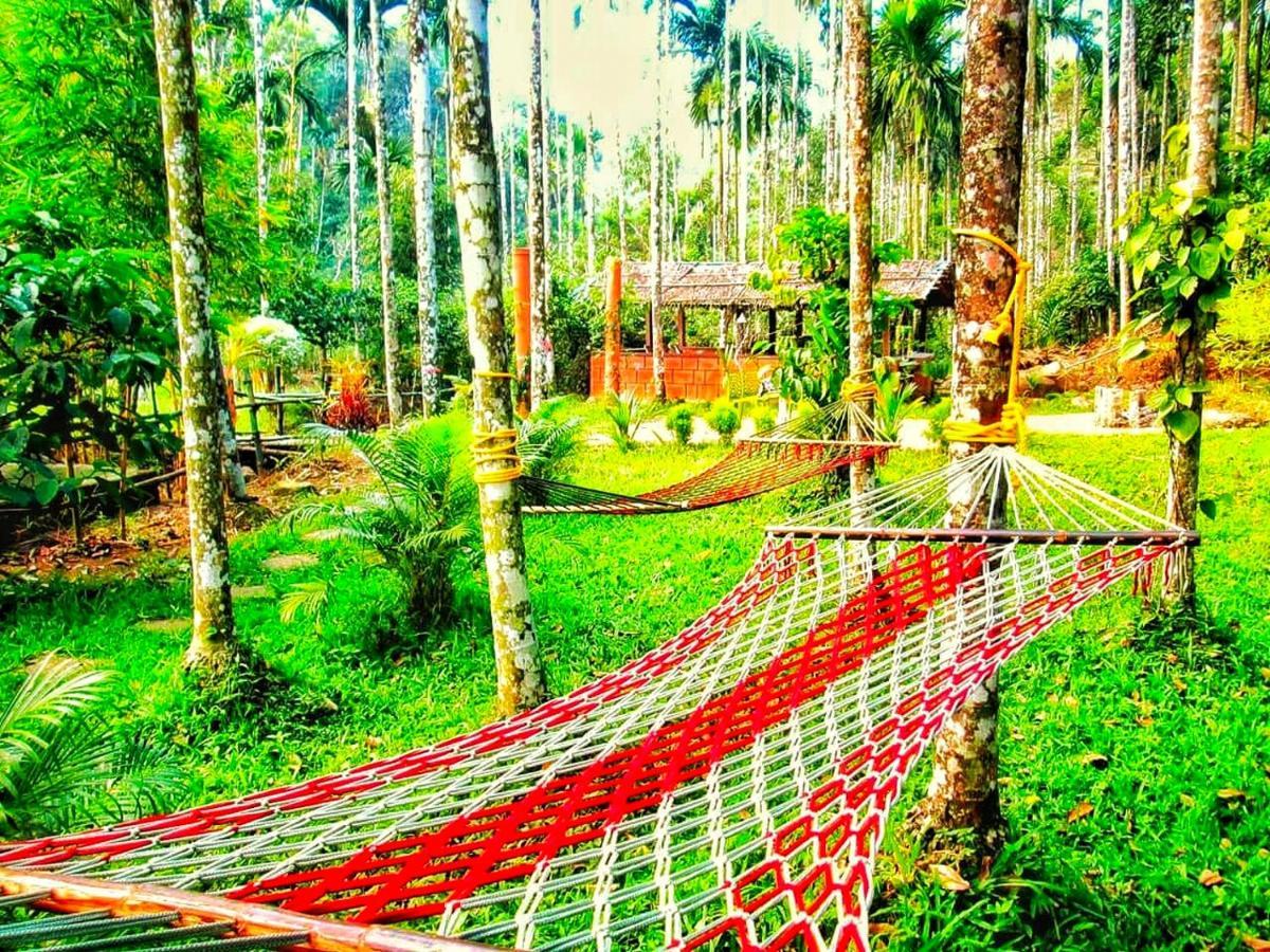 Wooden Cottages Glen Wayanad Meppadi Екстер'єр фото