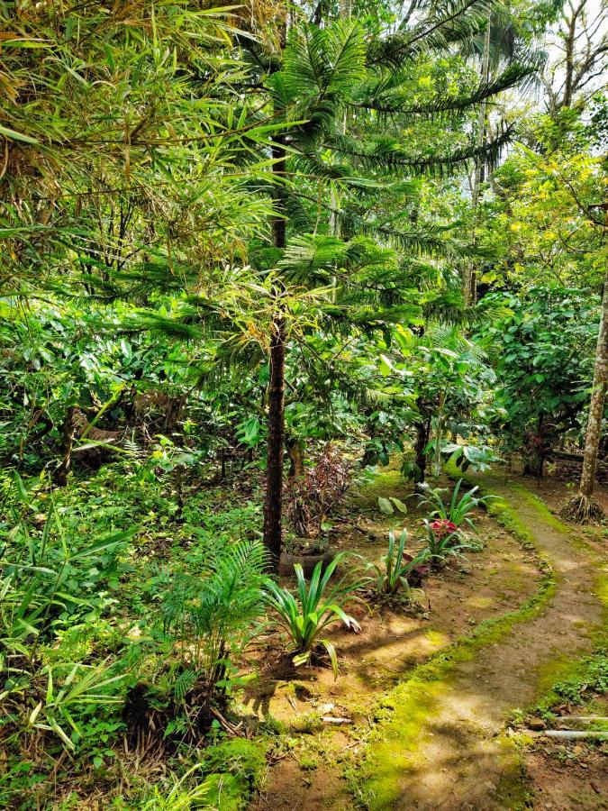 Wooden Cottages Glen Wayanad Meppadi Екстер'єр фото