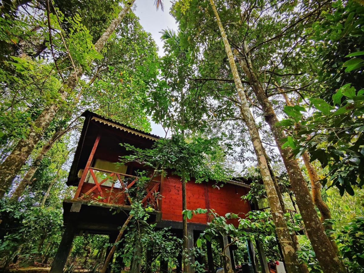 Wooden Cottages Glen Wayanad Meppadi Екстер'єр фото