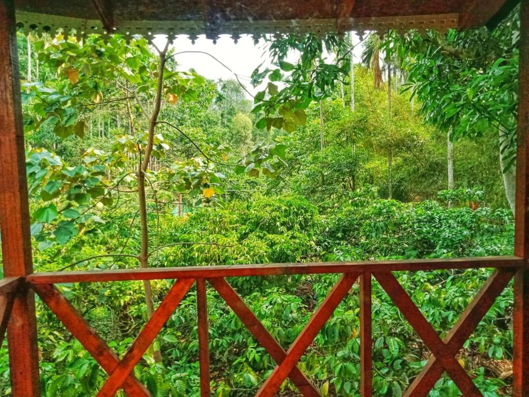 Wooden Cottages Glen Wayanad Meppadi Екстер'єр фото