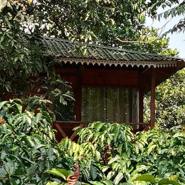 Wooden Cottages Glen Wayanad Meppadi Екстер'єр фото
