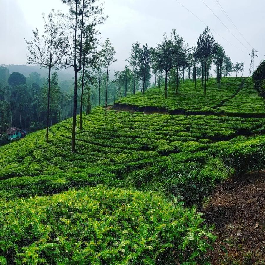 Wooden Cottages Glen Wayanad Meppadi Екстер'єр фото