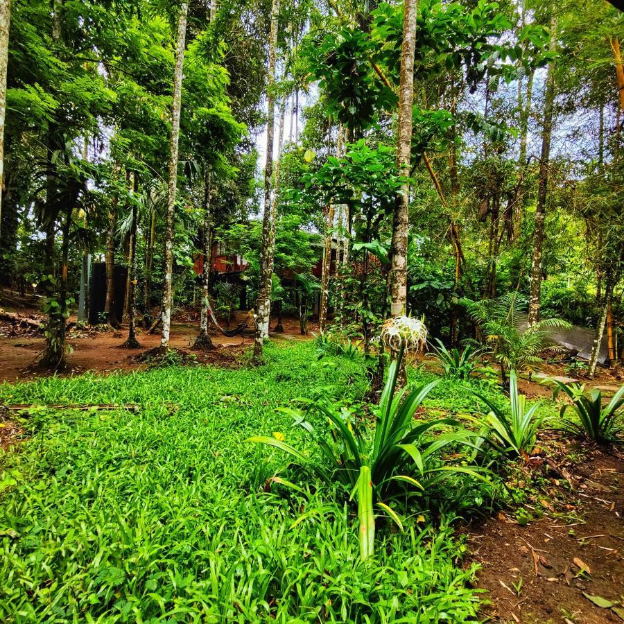 Wooden Cottages Glen Wayanad Meppadi Екстер'єр фото