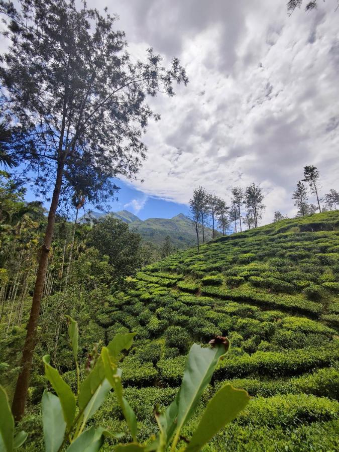 Wooden Cottages Glen Wayanad Meppadi Екстер'єр фото
