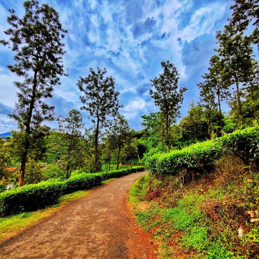 Wooden Cottages Glen Wayanad Meppadi Екстер'єр фото