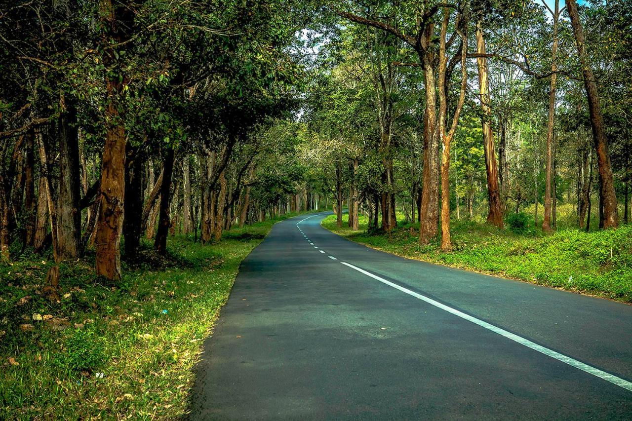 Wooden Cottages Glen Wayanad Meppadi Екстер'єр фото
