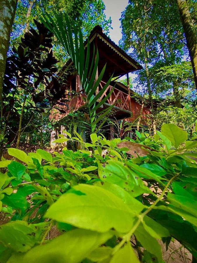 Wooden Cottages Glen Wayanad Meppadi Екстер'єр фото