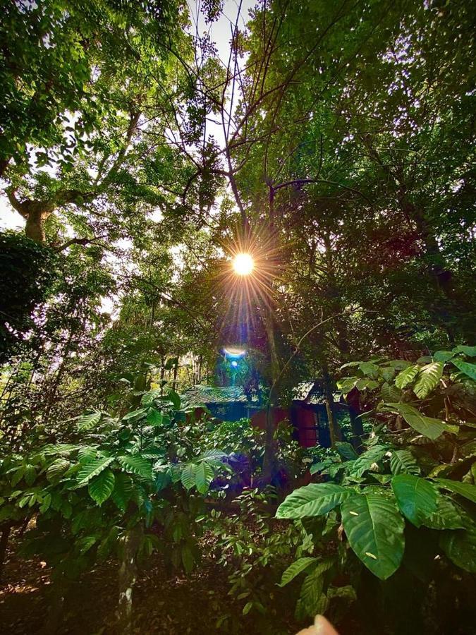 Wooden Cottages Glen Wayanad Meppadi Екстер'єр фото