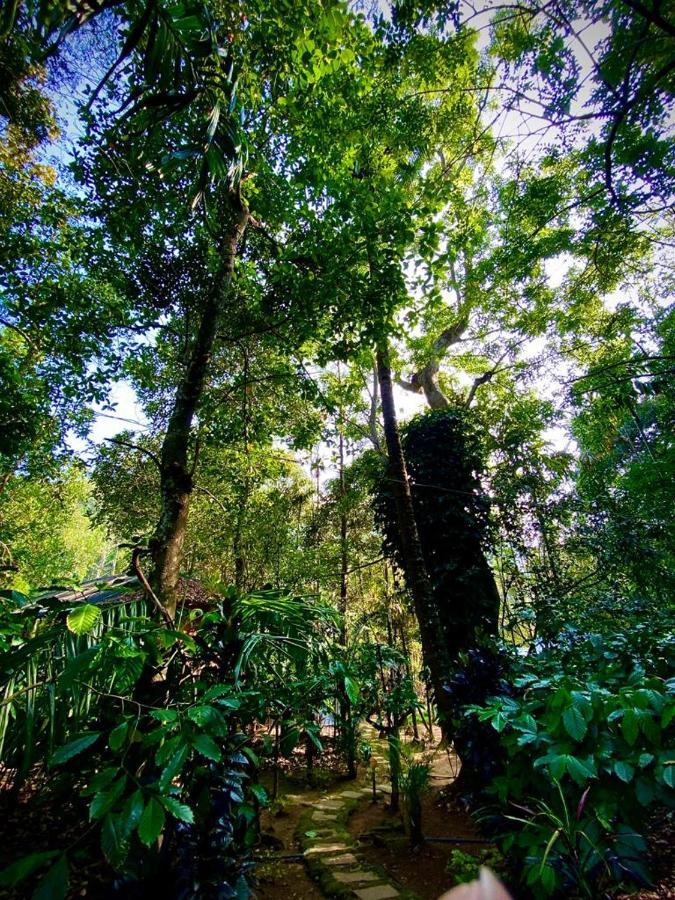 Wooden Cottages Glen Wayanad Meppadi Екстер'єр фото