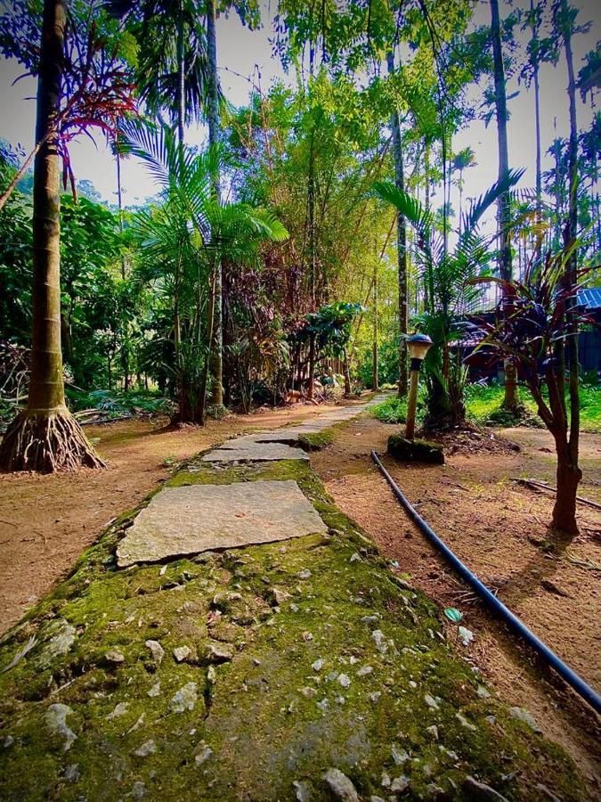 Wooden Cottages Glen Wayanad Meppadi Екстер'єр фото