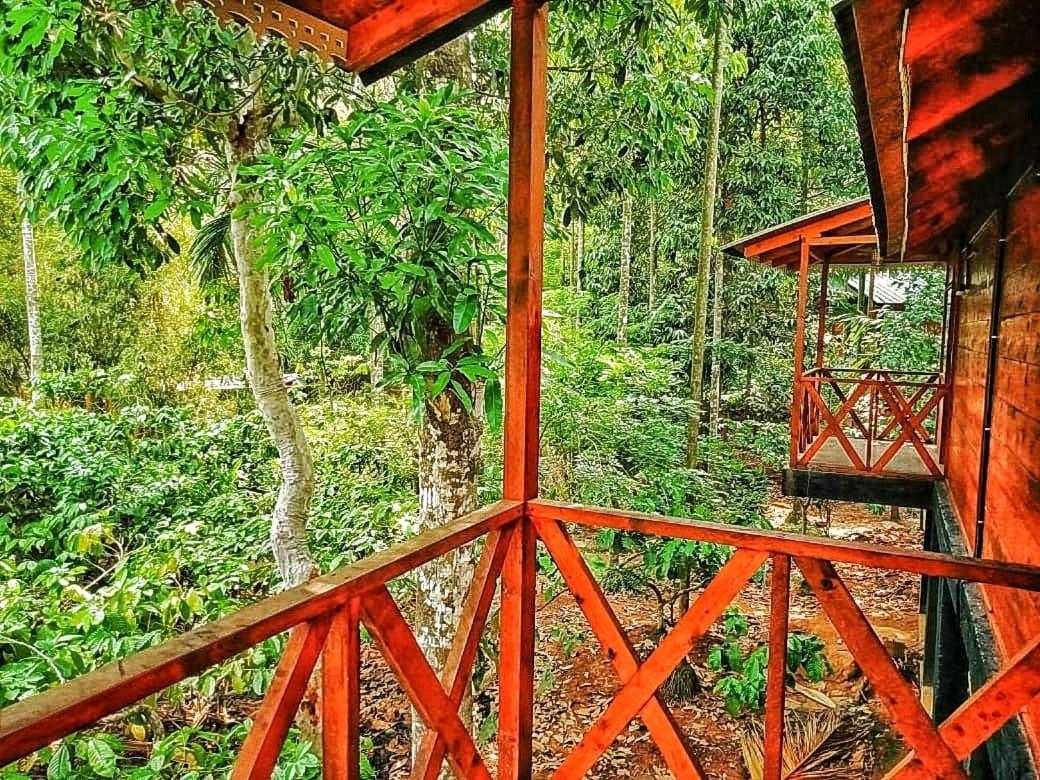 Wooden Cottages Glen Wayanad Meppadi Екстер'єр фото