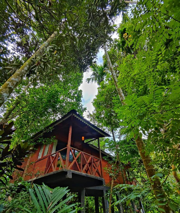 Wooden Cottages Glen Wayanad Meppadi Екстер'єр фото